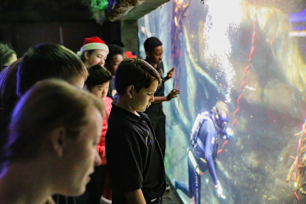 McClure Middle School - Georgia Aquarium Performance